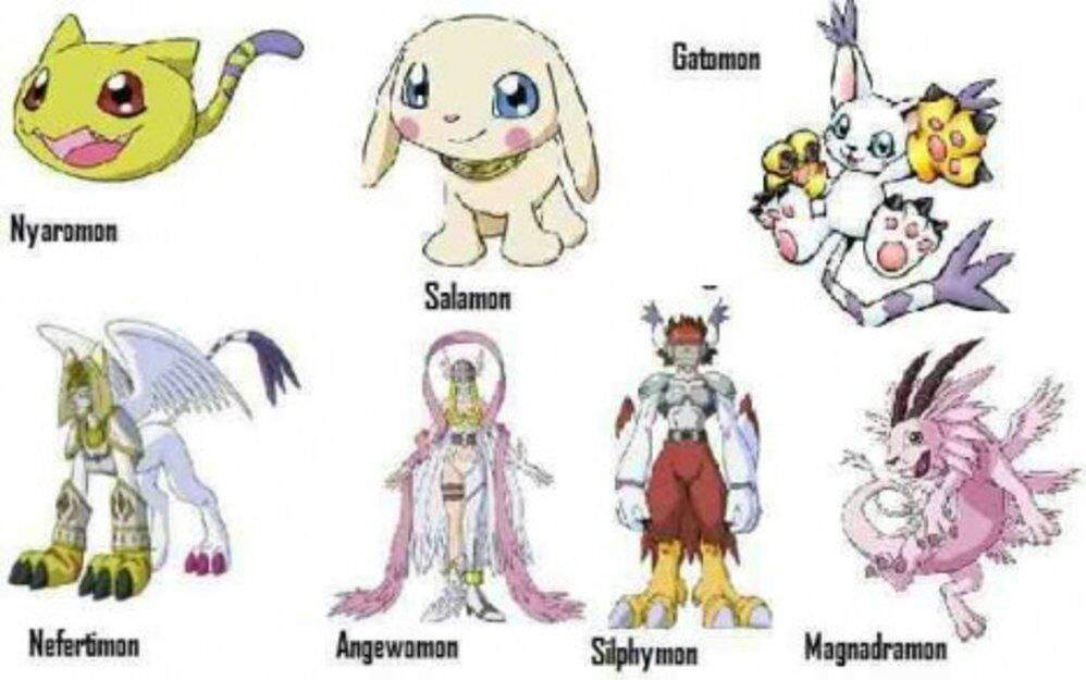 Linea evolutiva de gatomon Digimon Amino Chicos Elegidos Amino