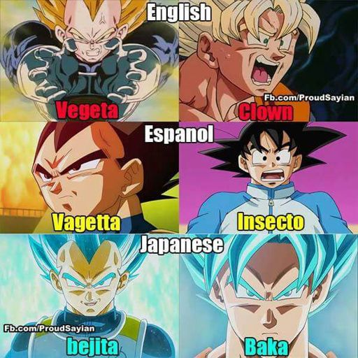 Names Which Goku & Vegeta Call Each Other In Different Languages😜 ...