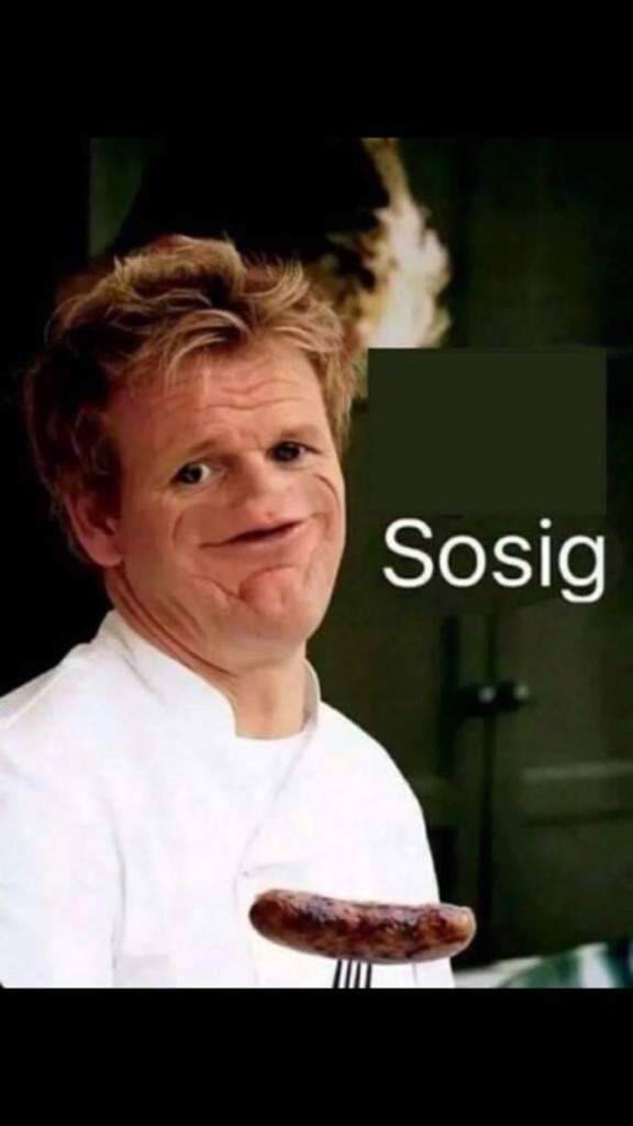 Gordon Ramsay Sosig Meme - Pin by Kate Torgerson on Chef Ramsey Memes