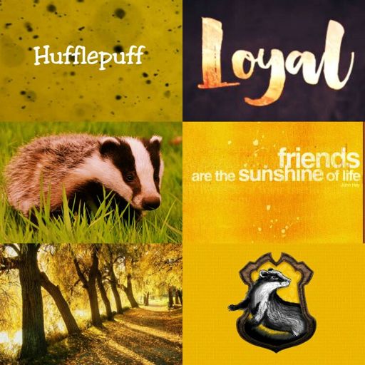 Hufflepuff | Wiki | Harry Potter Amino