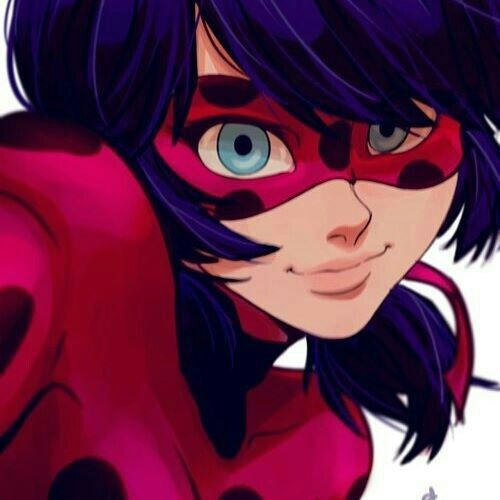 Leidibag o chat nuar | •Miraculous Ladybug Español• Amino