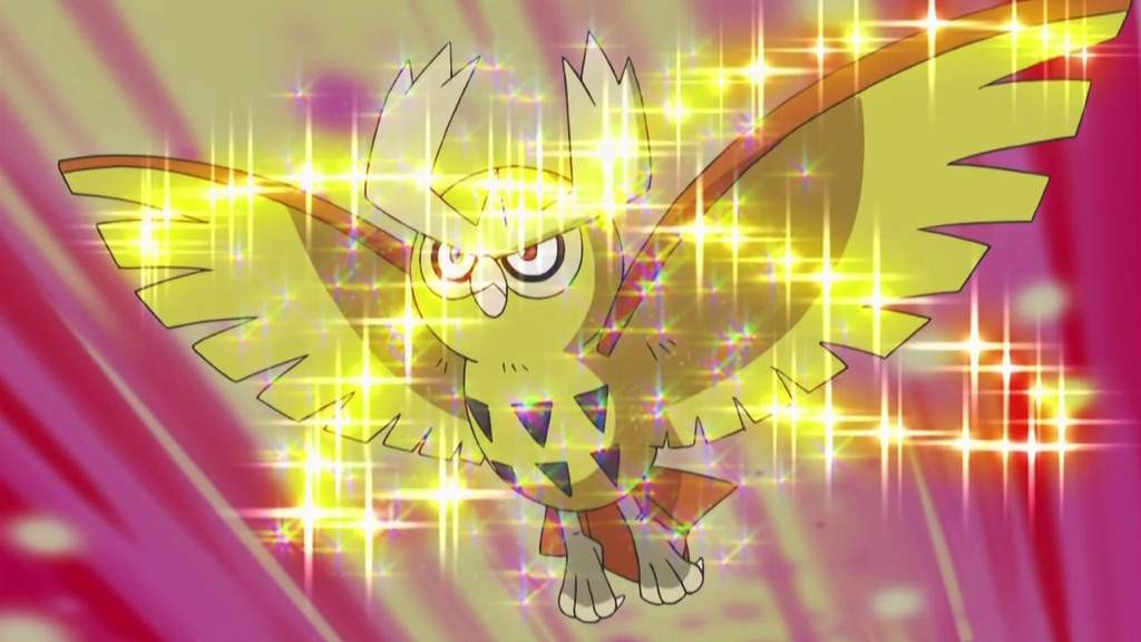 Ash's Noctowl Wiki Pokémon Amino