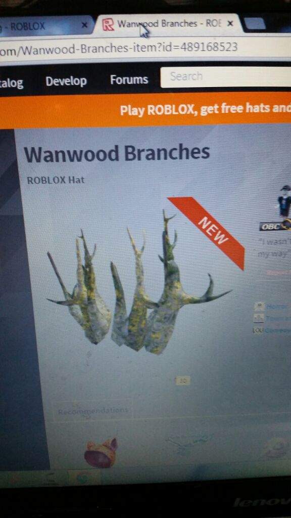 New Hat Wanwood Branches Face Roblox Amino