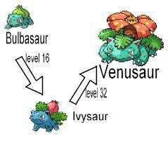 Bulbasaur Pokémon Amino Bulbasaur Evolves Into Ivysaur At Level 16 And Venasaur 32