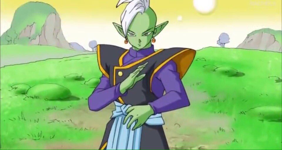 zamasu potara