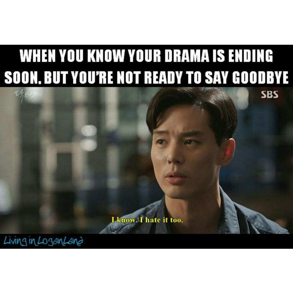 Korean Drama Memes K Drama Amino