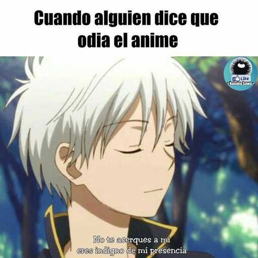 Ni siquiera me hables | •Anime• Amino