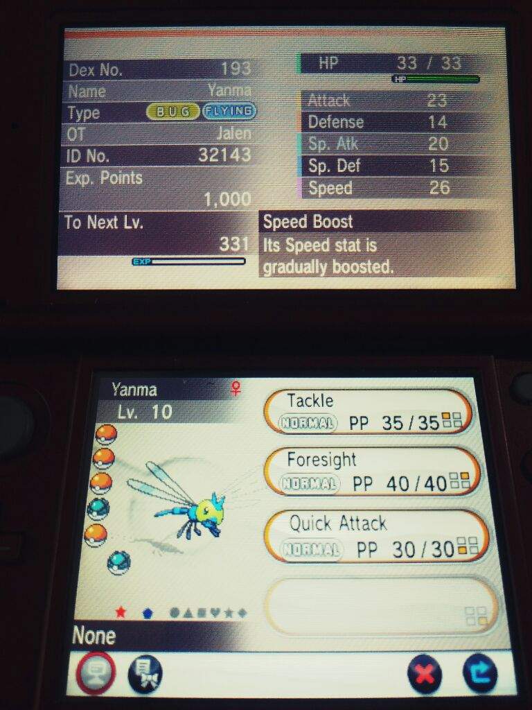 Shiny Yanma Shiny Pokemon Amino Amino