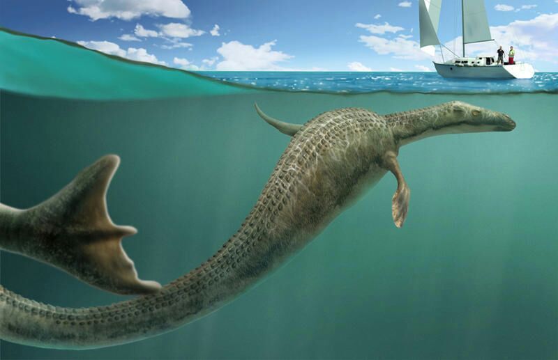 El monstruo del Lago Ness Terror Amino El monstruo del Lago Ness Terror Amino