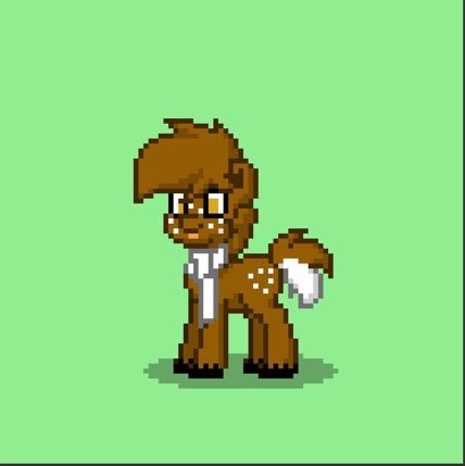 About | Pony Town Amino