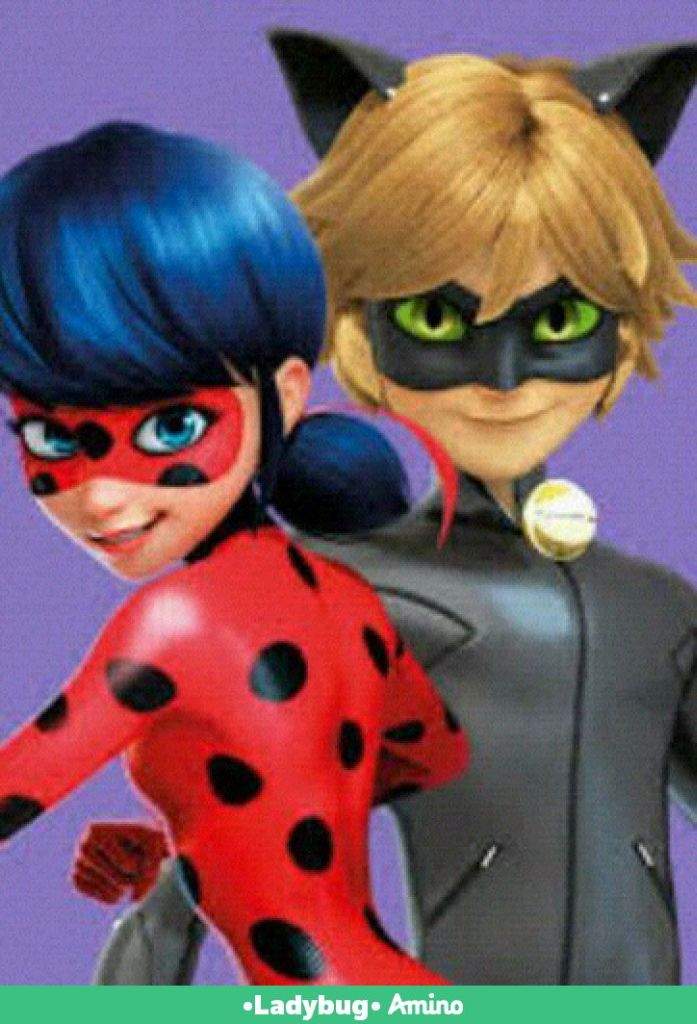 Ledy bog y cat nua | •Miraculous Ladybug Español• Amino