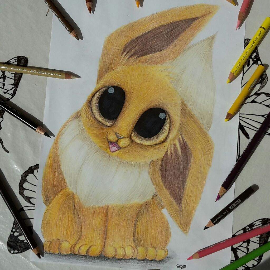 Eevee 😙 | Pokémon Amino