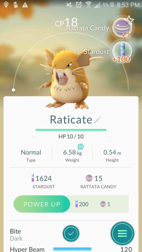 Lowest Cp Raticate I Ve Ever Seen Pokemon Go Amino