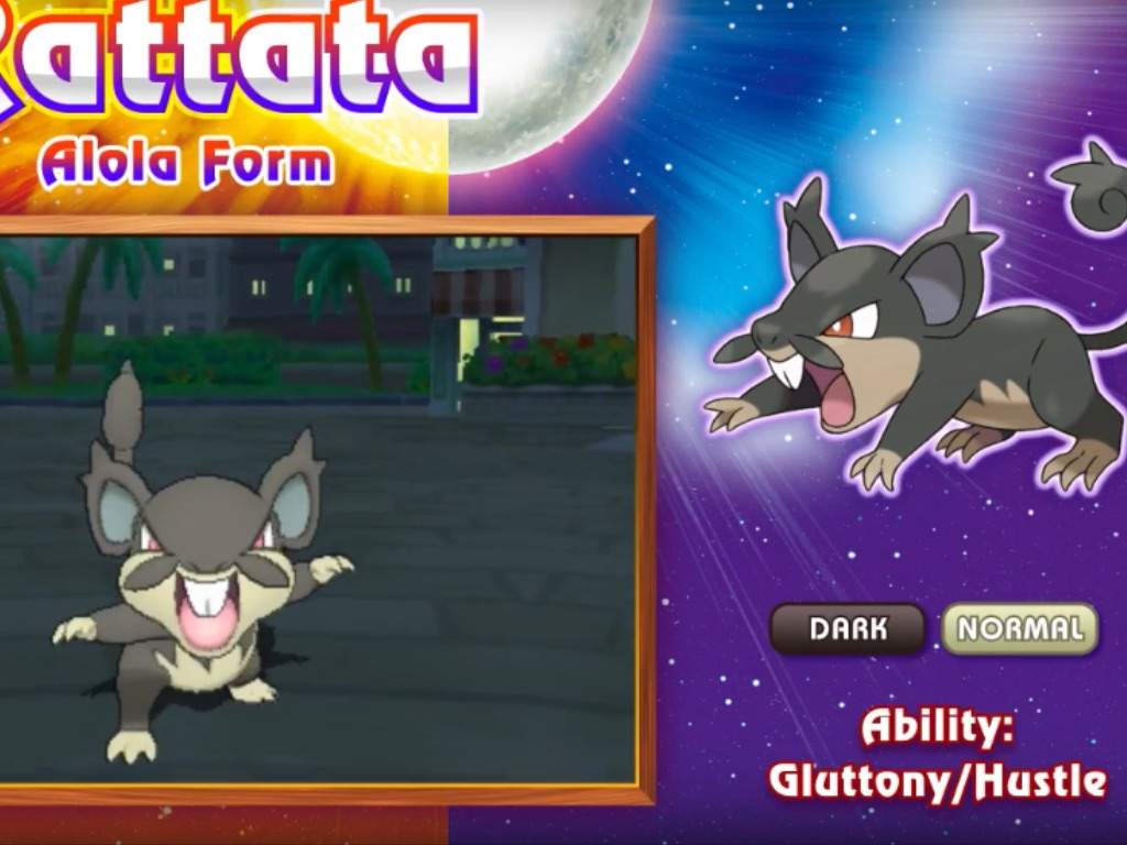 Why Is Rattata Getting Alola Form And Not Raticate? | Pokémon Amino