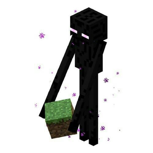 Enderman | Minecraft Amino • Crafters Amino