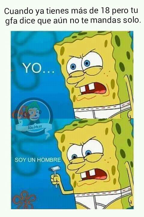 Todos los momos de bob esponja | •Anime• Amino