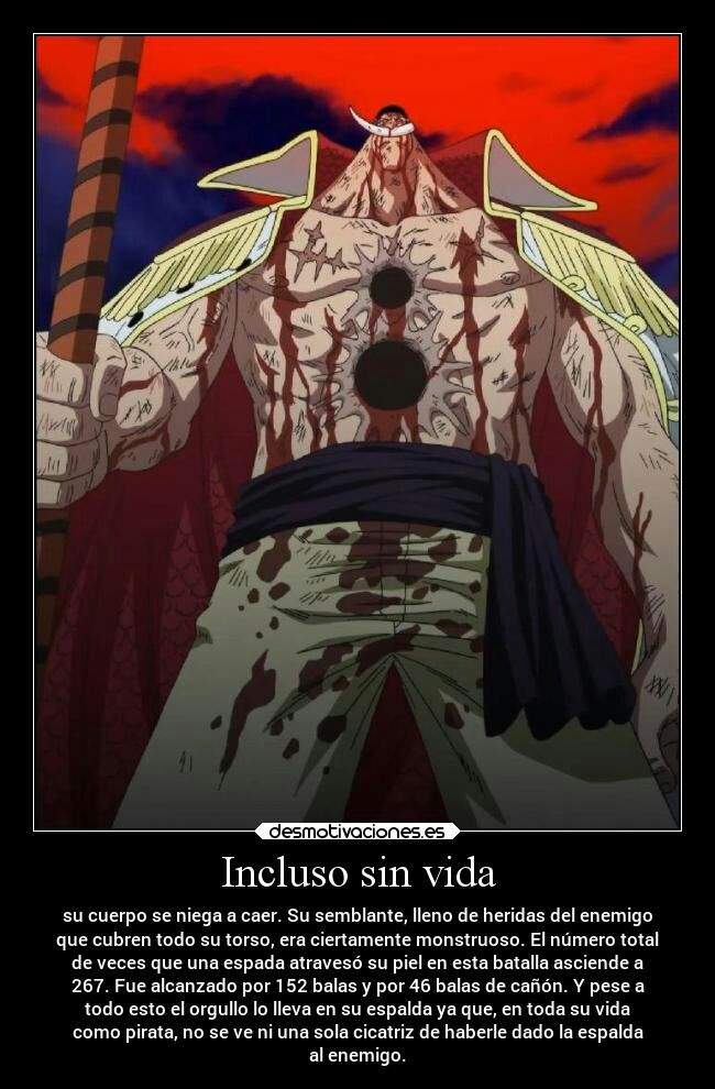 30DiasChallenge --- Dia 1 | •One Piece• Amino