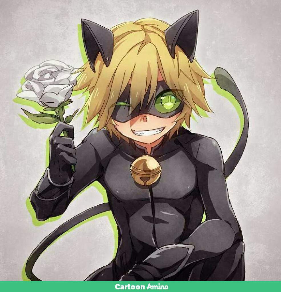 Un Gatos Super Kawaii Cartoon Amino 9536