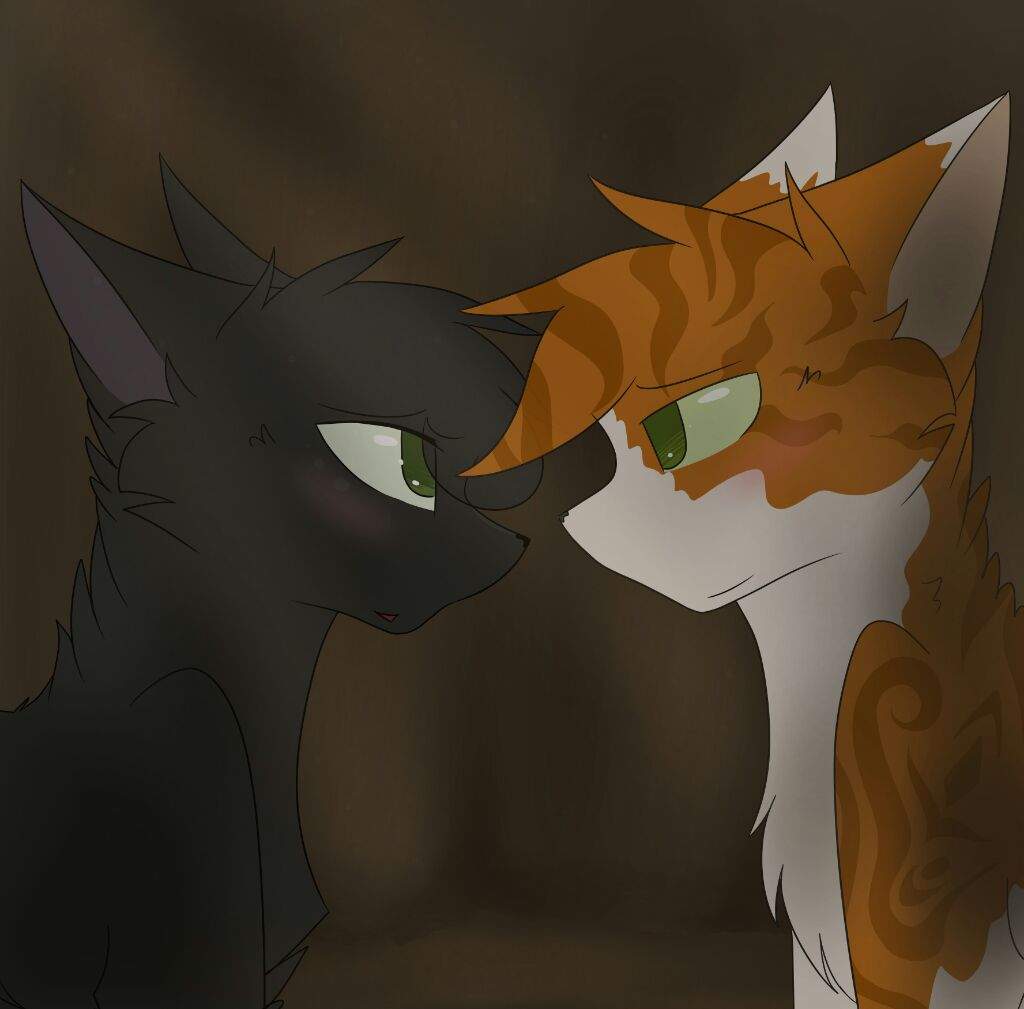 Amv Idea Hollyleaf X Fallen Leaves Updated Warriors Amino