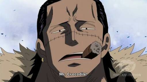 Crocodile | Wiki | •One Piece• Amino