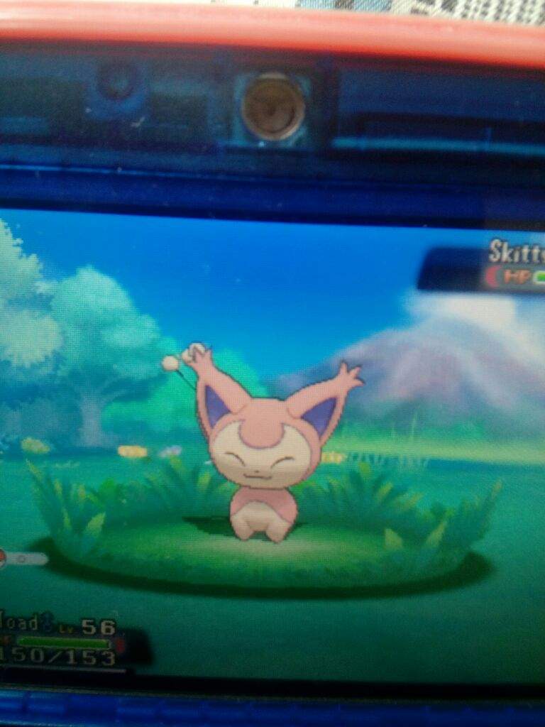 skitty-shiny-58-pok-mon-amino