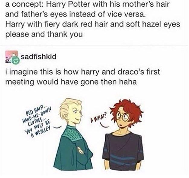 Harry Potter Oneshots Hp Headcanons Harry Potter Meme - vrogue.co