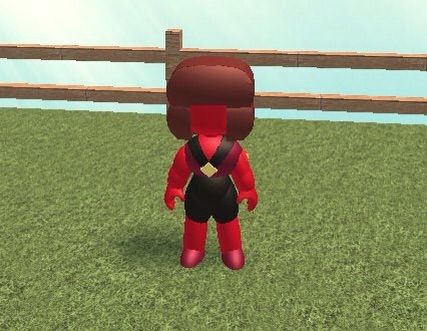 Steven Universe 3d Roleplay Info Roblox Amino