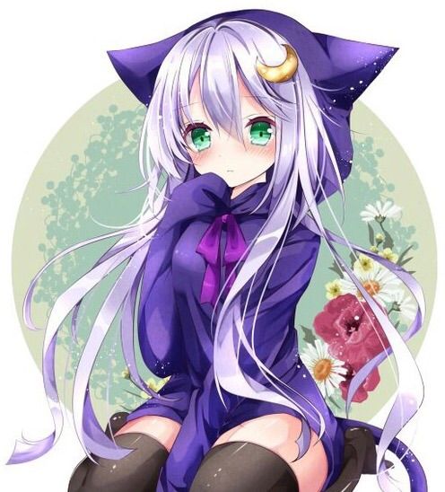 Random Cute Neko | Anime Amino