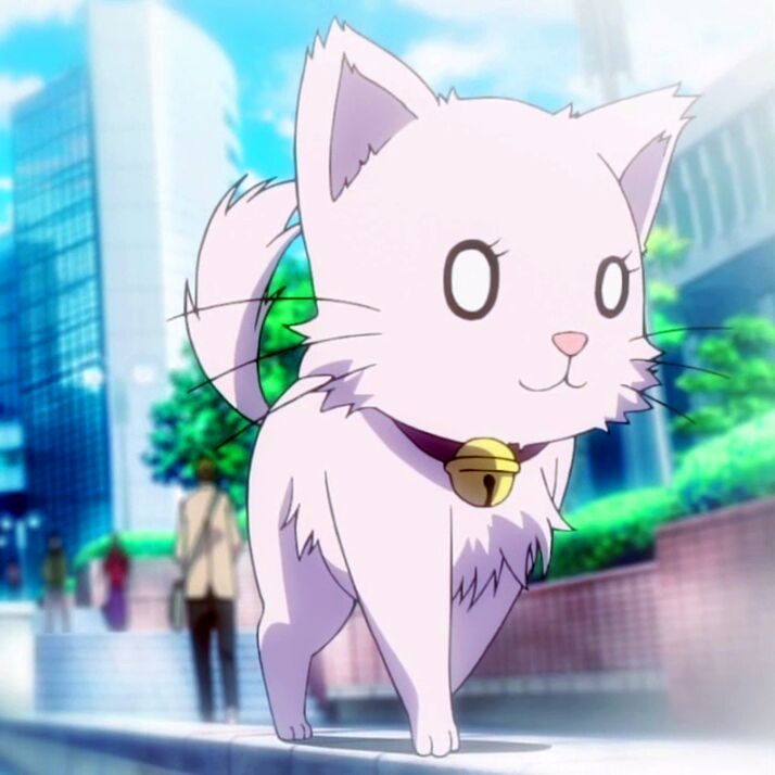 Analisis de personajes (Neko) •Neko• Amino