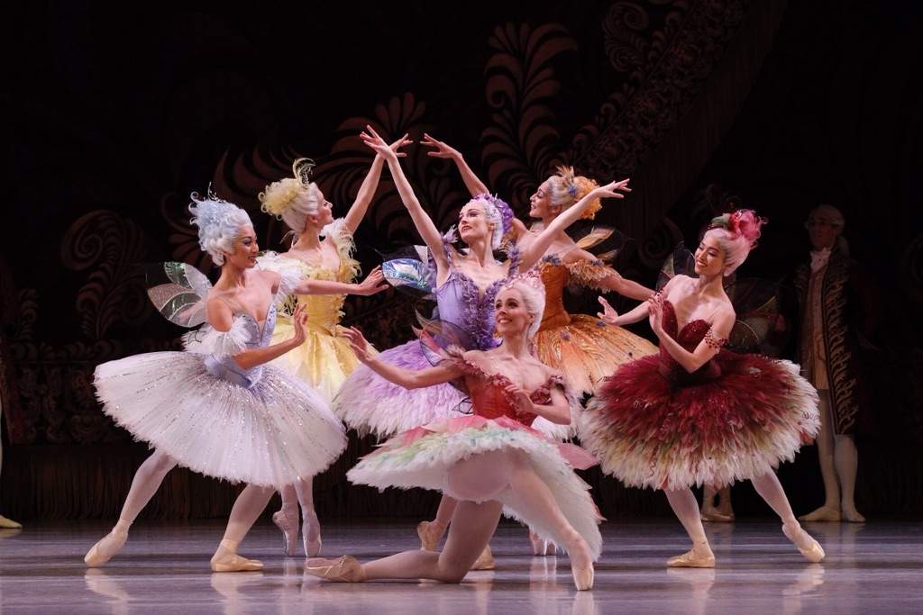 The Sleeping Beauty Wiki Ballet Dance Amino Amino   C78e7605b4f11712a39737dbdcf0b43f003ccf3b Hq 