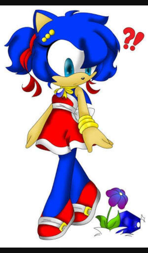 Sonica Wiki Sonic The Hedgehog Amino