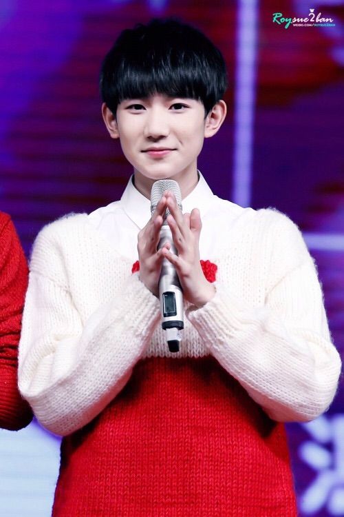 Roy Wang | Wiki | TFBoys Amino