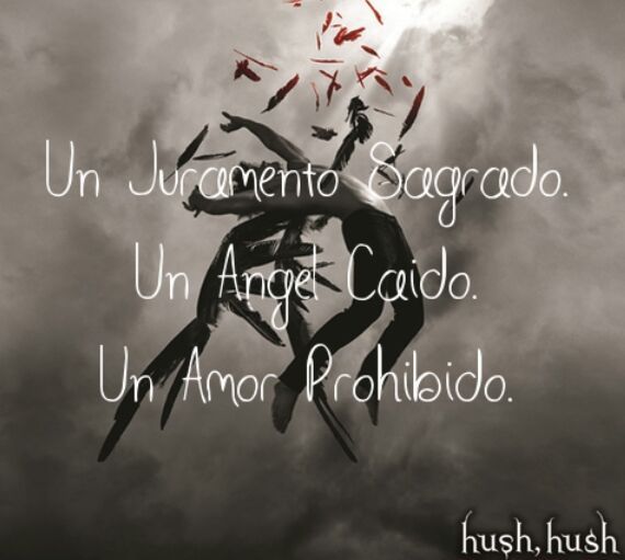 Hush Hush Wiki • Libros • Amino 0927