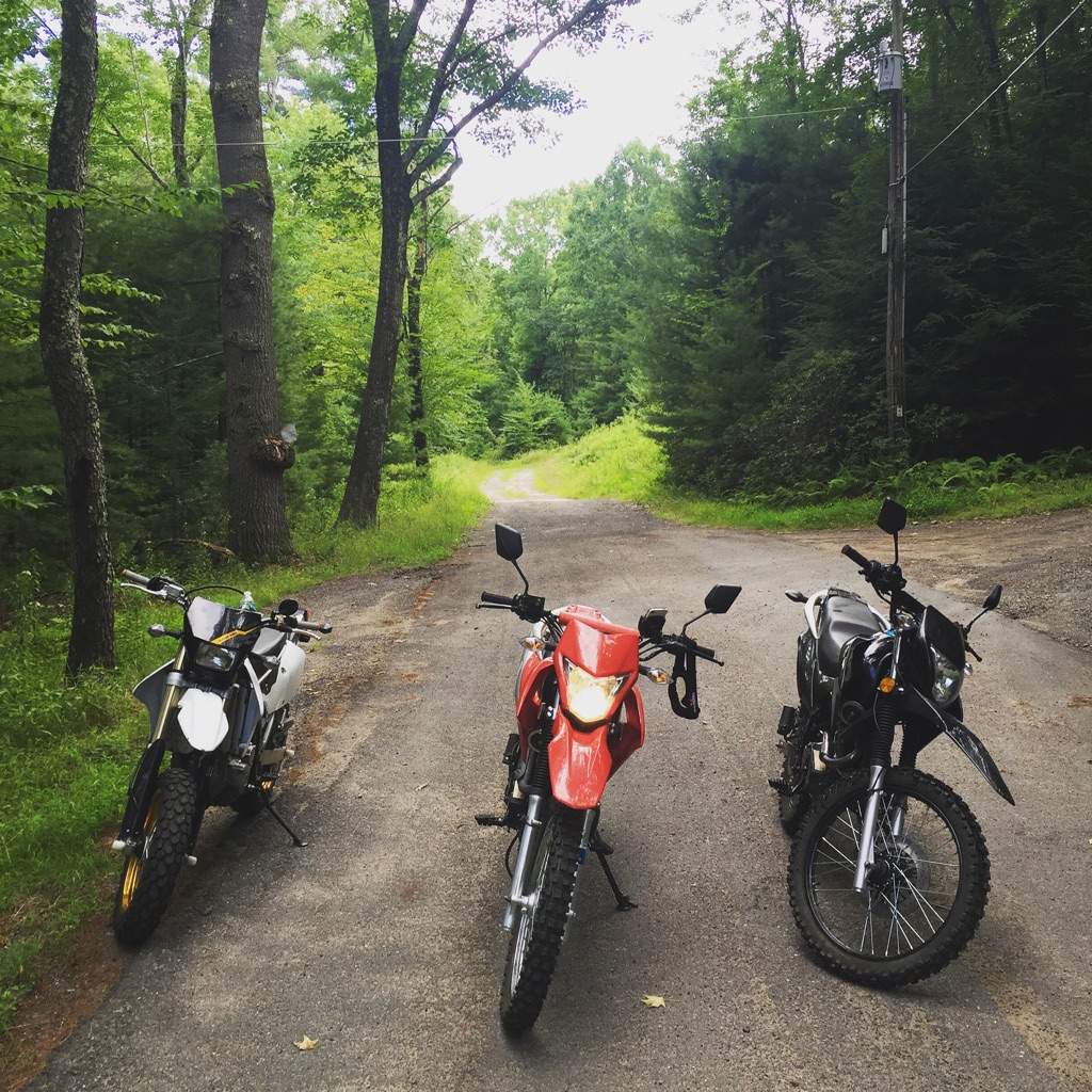 hawk dual sport motorcycle