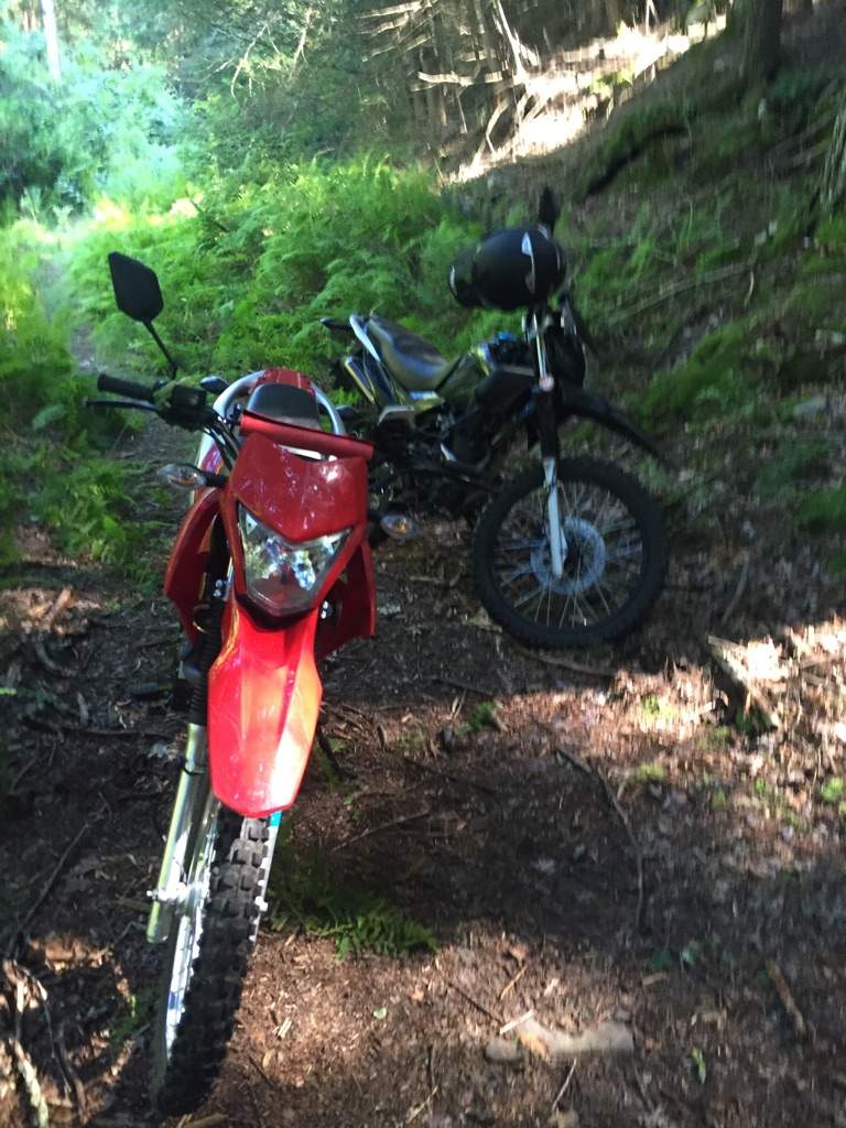 hawk dual sport motorcycle
