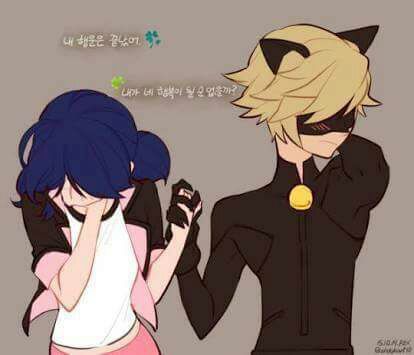 Marichat 10 Cosas Que Todo Fanfic Tiene Miraculous