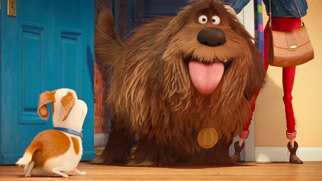 Movie Review #21: The Secret Life Of Pets | Cartoon Amino