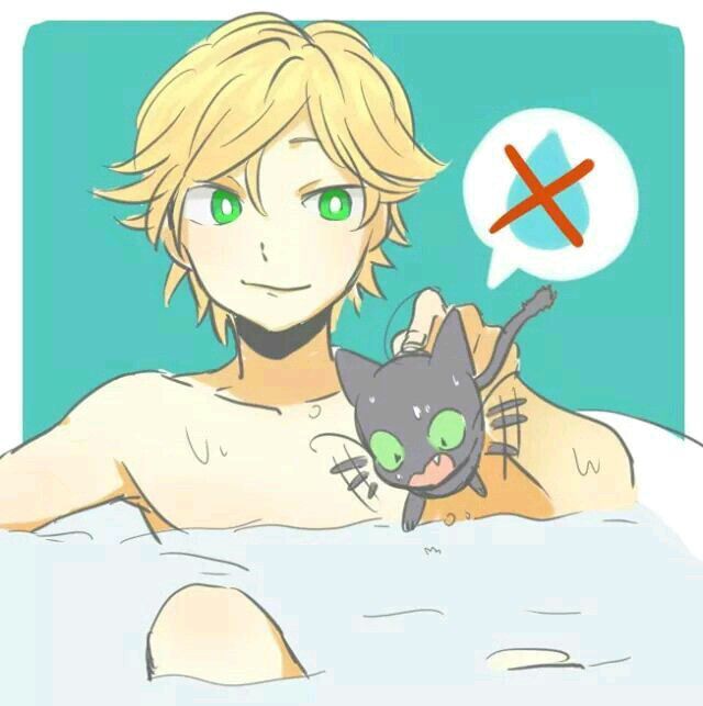 Adrien Agreste Wiki •miraculous Ladybug Español• Amino