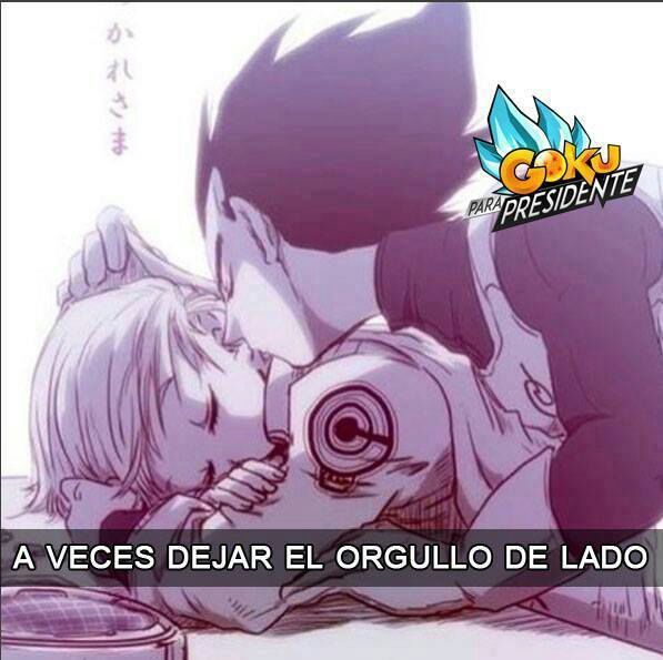 Fanfiction de vegeta y bulma | DRAGON BALL ESPAÑOL Amino