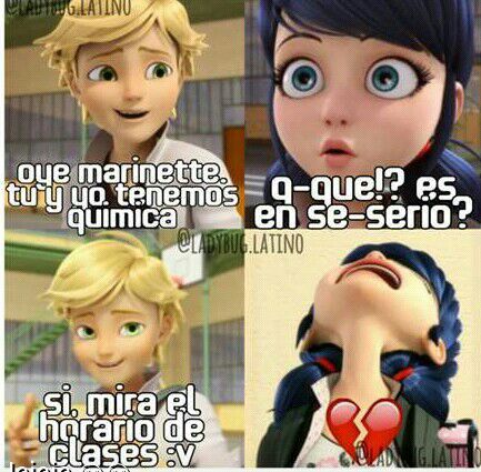 Memes De Ladybug Y Chat Noir Miraculous Ladybug Espanol Amino