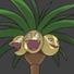 amino-Alolan__Exeggutor-4b8b6c2d