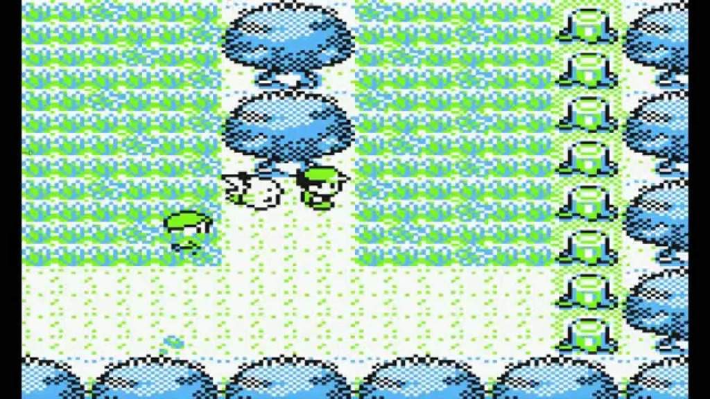 pokemon yellow safari zone glitch