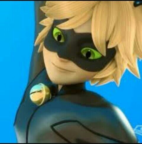 Cat noa | •Miraculous Ladybug Español• Amino