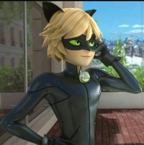 Cat noa | Wiki | •Miraculous Ladybug Español• Amino