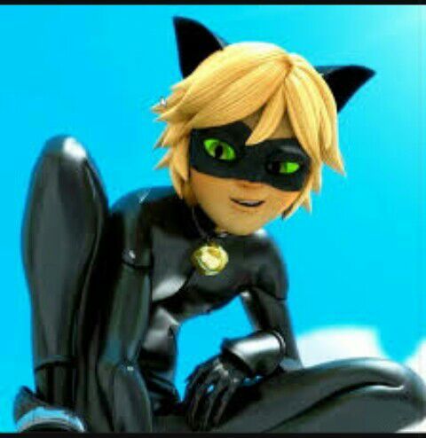 Cat noa | •Miraculous Ladybug Español• Amino