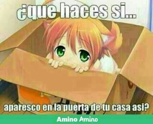 Quieres ser mi onii-chan? | •Anime• Amino