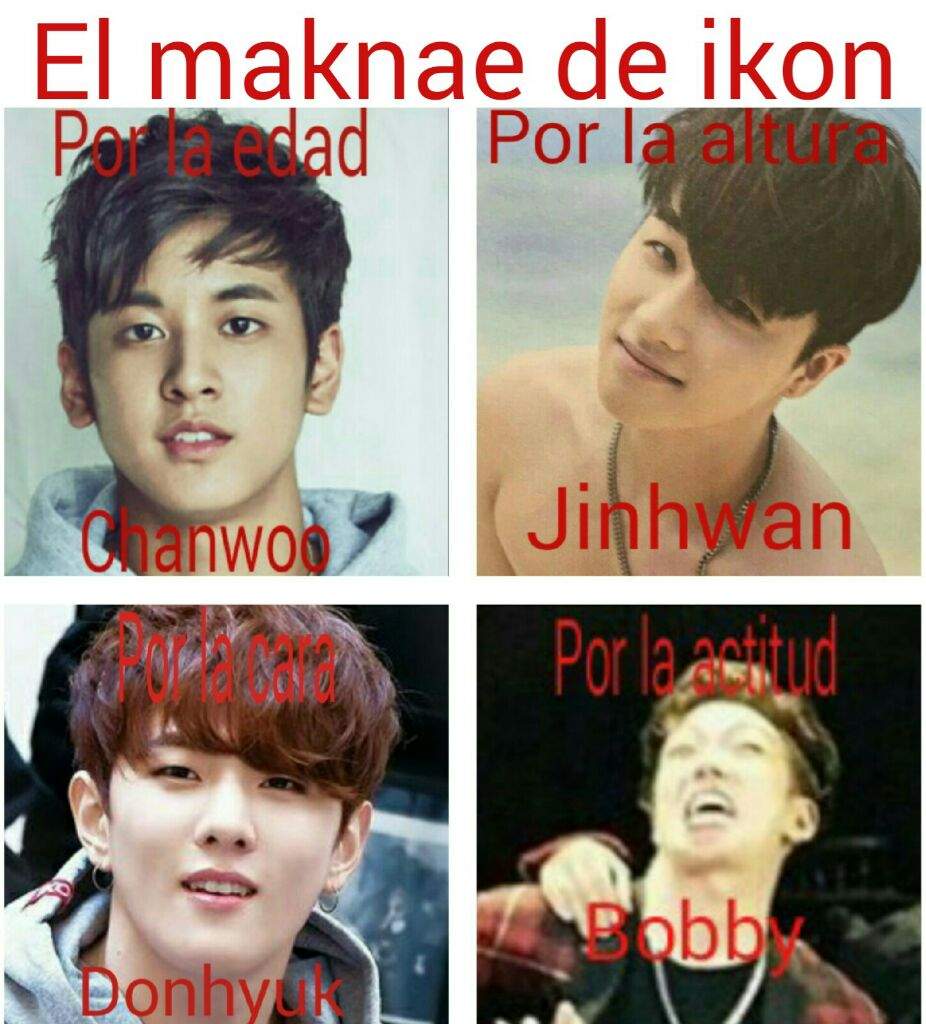 El maknae de ikon | •K-Pop• Amino