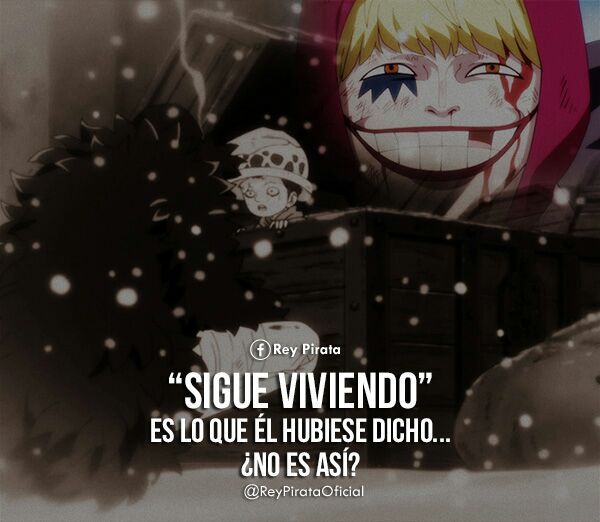 One Piece Quote] | •One Piece• Amino