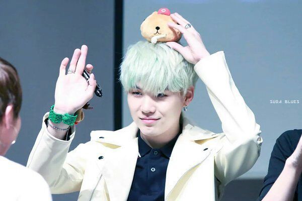 suga bts stuffed animal