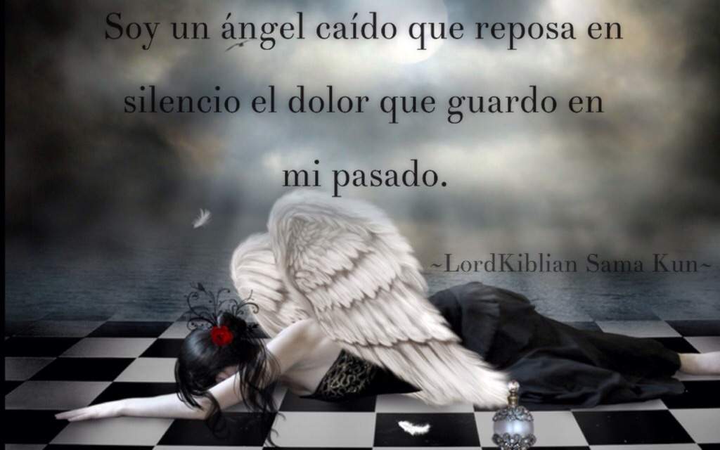 Frase del día~ | •Anime• Amino